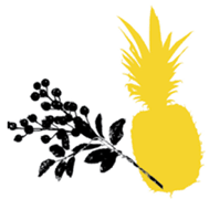 illustration of a pineapple
