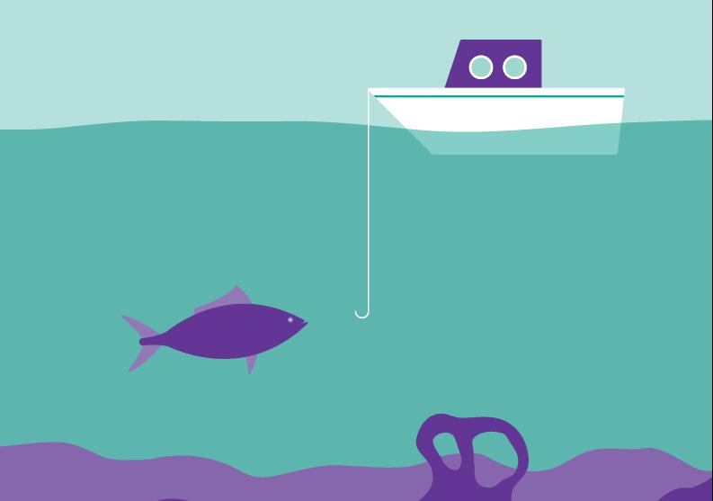 Consumer Focused Review of the Finfish Food Chain