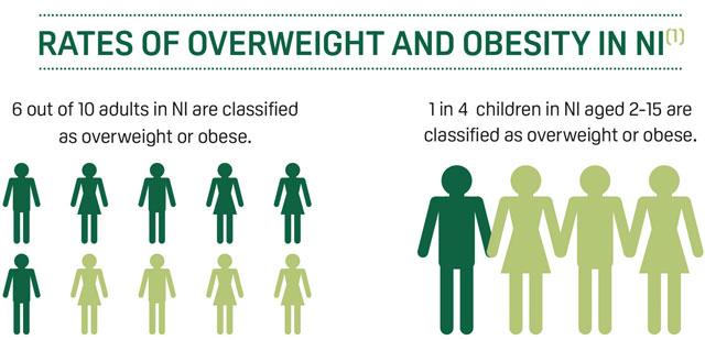 rates of overweight and obesity in NI